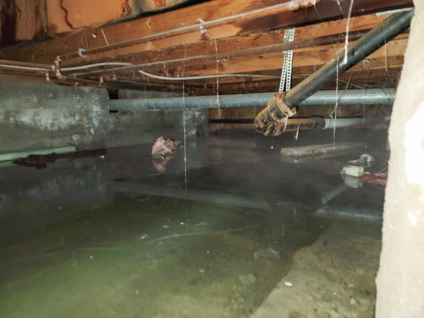Best Basement water damage restoration  in Fresno, CA