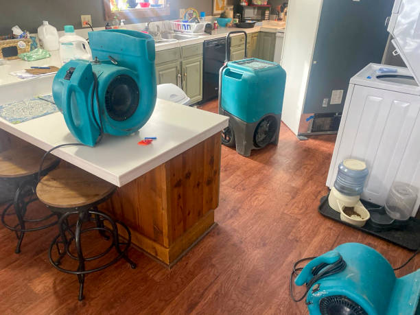 Best Flood damage cleanup  in Fresno, CA