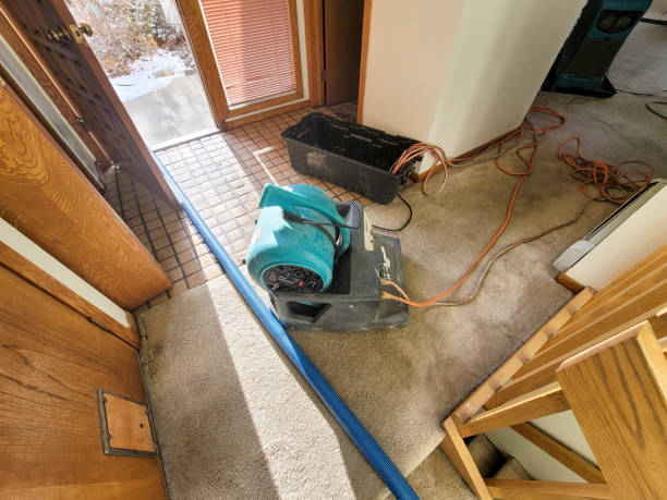 Best Water damage cleanup near me  in Fresno, CA