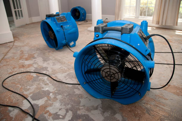 Best Carpet water damage restoration  in Fresno, CA