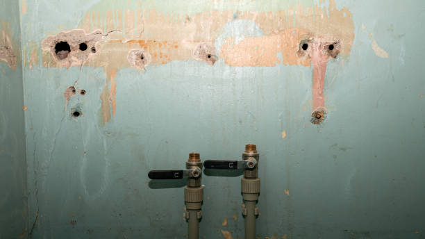 Best Professional water damage repair  in Fresno, CA