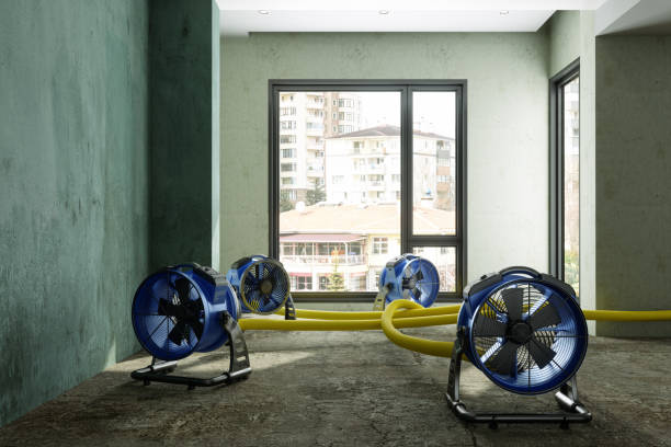Best Local water damage restoration  in Fresno, CA