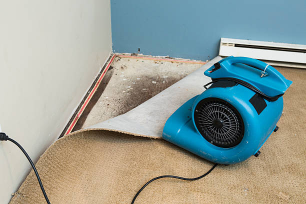 Best Water damage contractors near me  in Fresno, CA